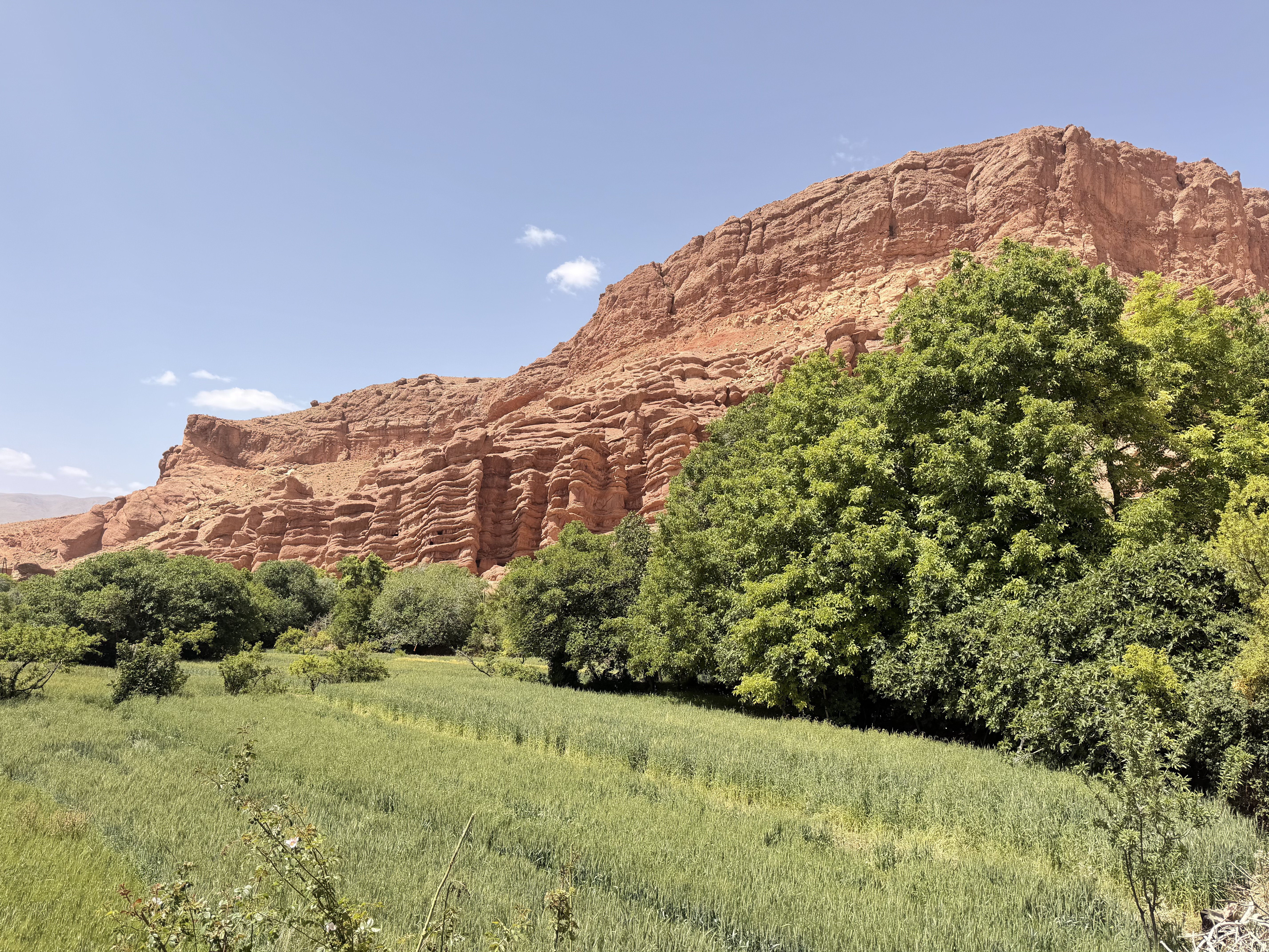 Imposante Felsen der Dades-Schlucht mit Oase